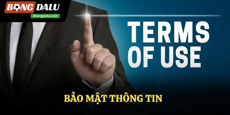 Bongdalu thu thập dữ liệu của khách hàng để bảo vệ an toàn cho người dùng