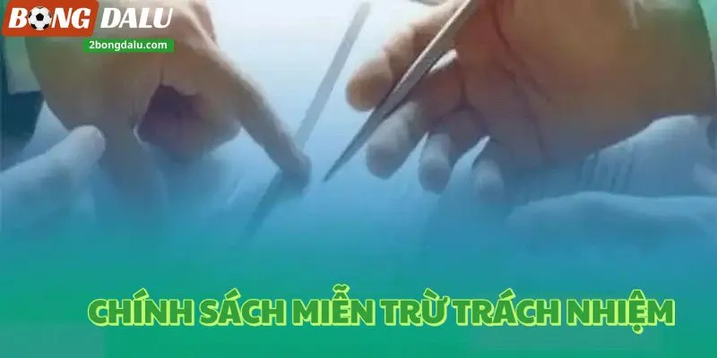 Miễn trừ trách nhiệm Bongdalu – An toàn và minh bạch