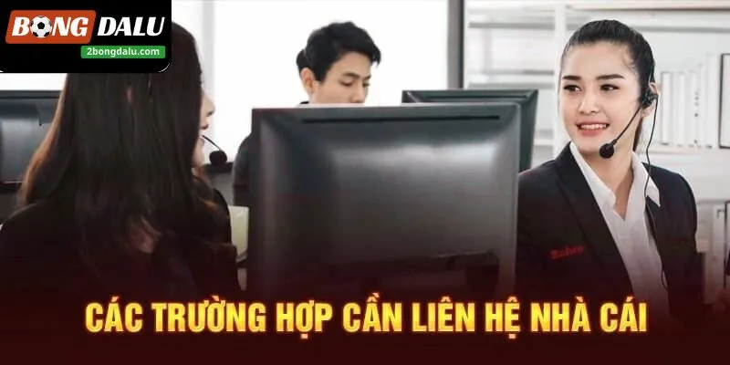 Liên hệ Bongdalu để được hỗ trợ nhanh nhất