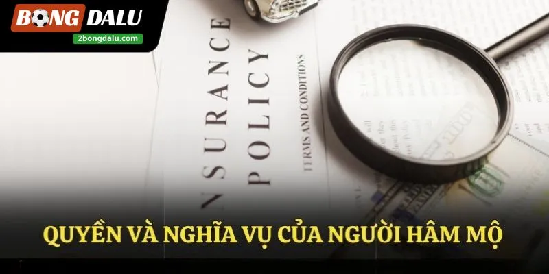 Bongdalu luôn minh bạch các chính sách điều khoản điều kiện
