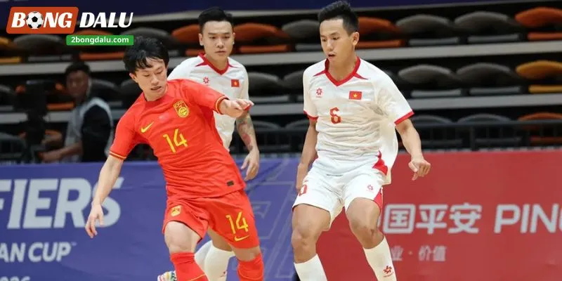 Việt Nam dự vòng loại giải futsal châu Á - Bongdalu